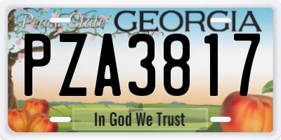GA license plate PZA3817