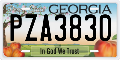 GA license plate PZA3830