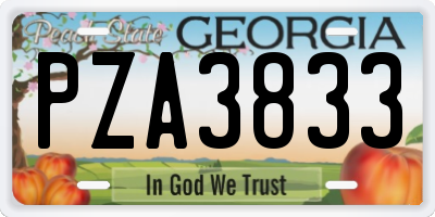 GA license plate PZA3833