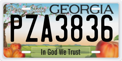 GA license plate PZA3836