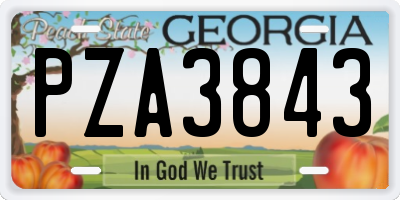 GA license plate PZA3843