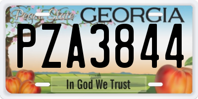 GA license plate PZA3844