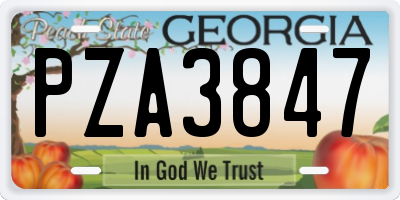 GA license plate PZA3847