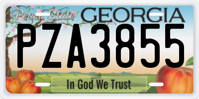 GA license plate PZA3855