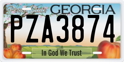 GA license plate PZA3874