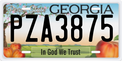 GA license plate PZA3875