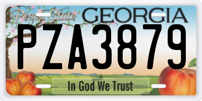 GA license plate PZA3879
