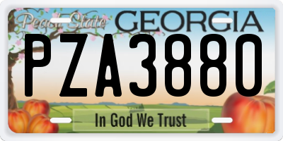 GA license plate PZA3880