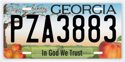 GA license plate PZA3883