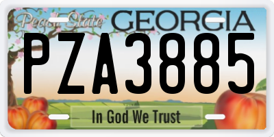 GA license plate PZA3885