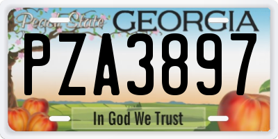 GA license plate PZA3897