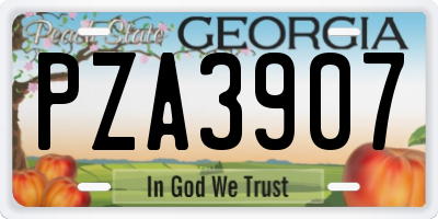 GA license plate PZA3907