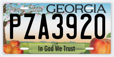 GA license plate PZA3920
