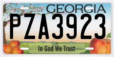 GA license plate PZA3923