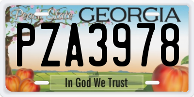 GA license plate PZA3978