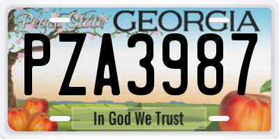 GA license plate PZA3987