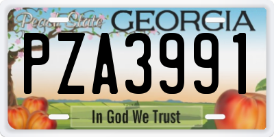 GA license plate PZA3991