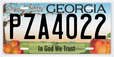 GA license plate PZA4022