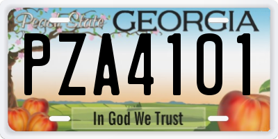 GA license plate PZA4101