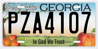 GA license plate PZA4107