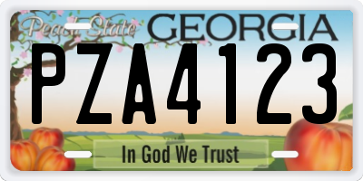 GA license plate PZA4123