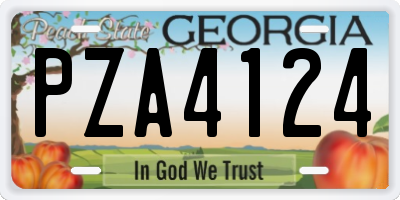 GA license plate PZA4124