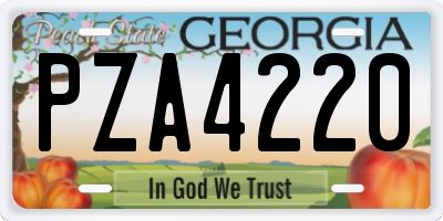 GA license plate PZA4220