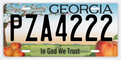 GA license plate PZA4222