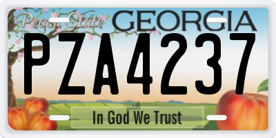 GA license plate PZA4237
