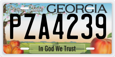 GA license plate PZA4239