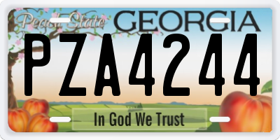 GA license plate PZA4244