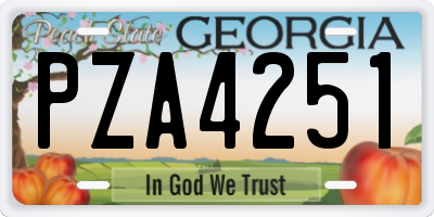 GA license plate PZA4251