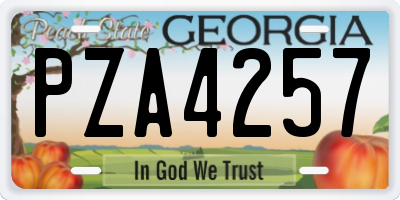 GA license plate PZA4257