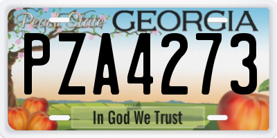 GA license plate PZA4273