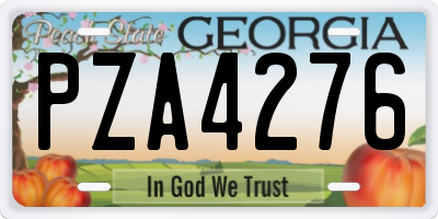 GA license plate PZA4276