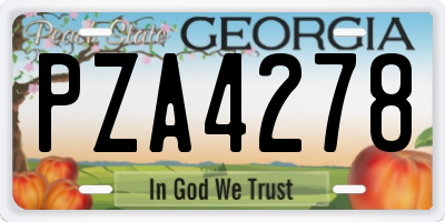 GA license plate PZA4278