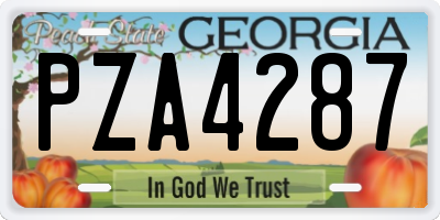 GA license plate PZA4287