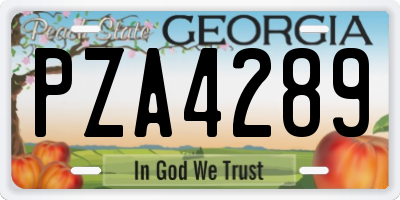 GA license plate PZA4289