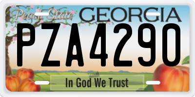 GA license plate PZA4290