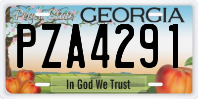 GA license plate PZA4291