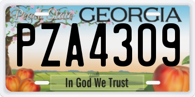 GA license plate PZA4309