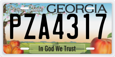 GA license plate PZA4317