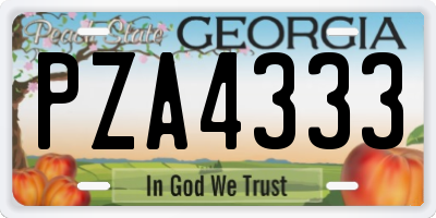 GA license plate PZA4333