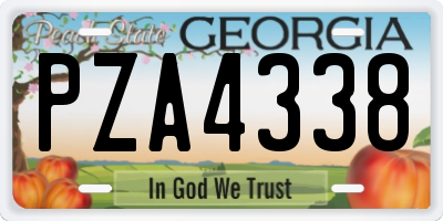 GA license plate PZA4338