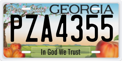 GA license plate PZA4355