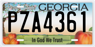 GA license plate PZA4361