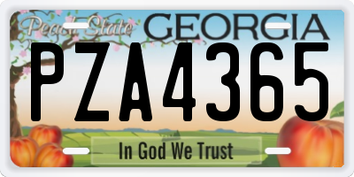 GA license plate PZA4365