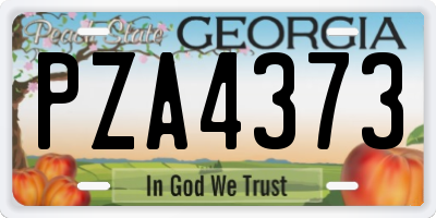 GA license plate PZA4373