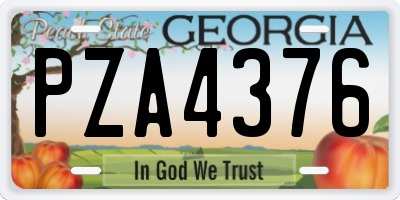GA license plate PZA4376