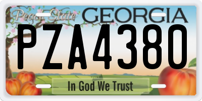 GA license plate PZA4380